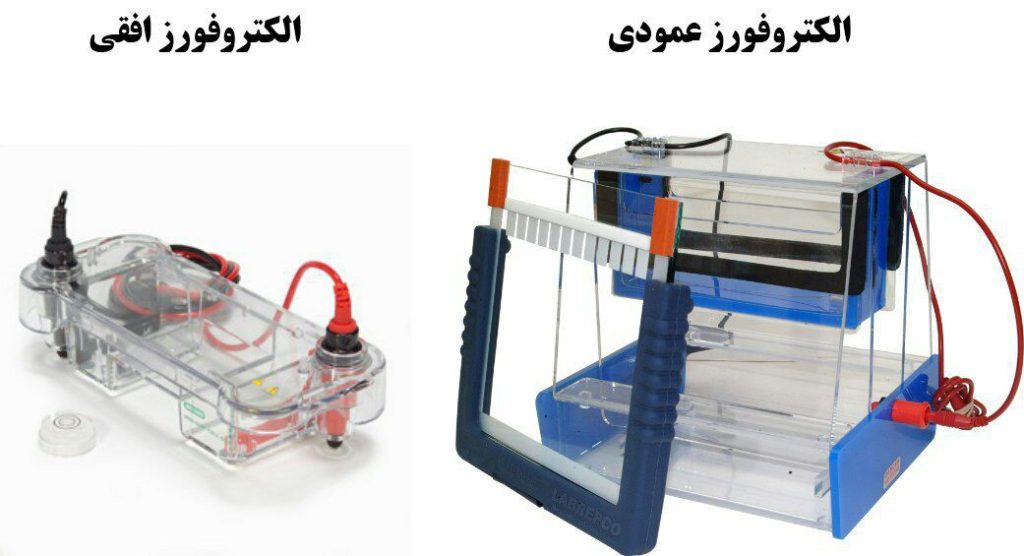 الکتروفورزها به دو دسته عمودی و افقی تقسیم می شوند و بر اساس هدفی که ما دنبال میکنیم از آنها استفاده می کنیم.