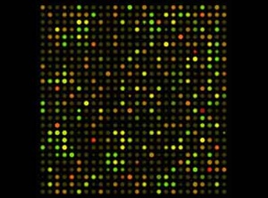 ریزآرایه ی DNA (DNA microarray)