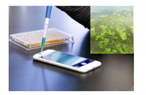 شناسایی آلودگی‌های جلبکی یک نمونه آب به کمک سیستم‌های جدید مبتنی بر گوشی‌های هوشمند